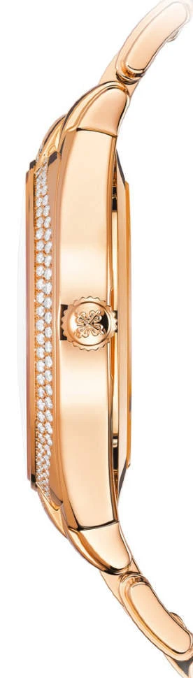 Заказать Patek Philippe  Twenty~4  7300/1200R-001