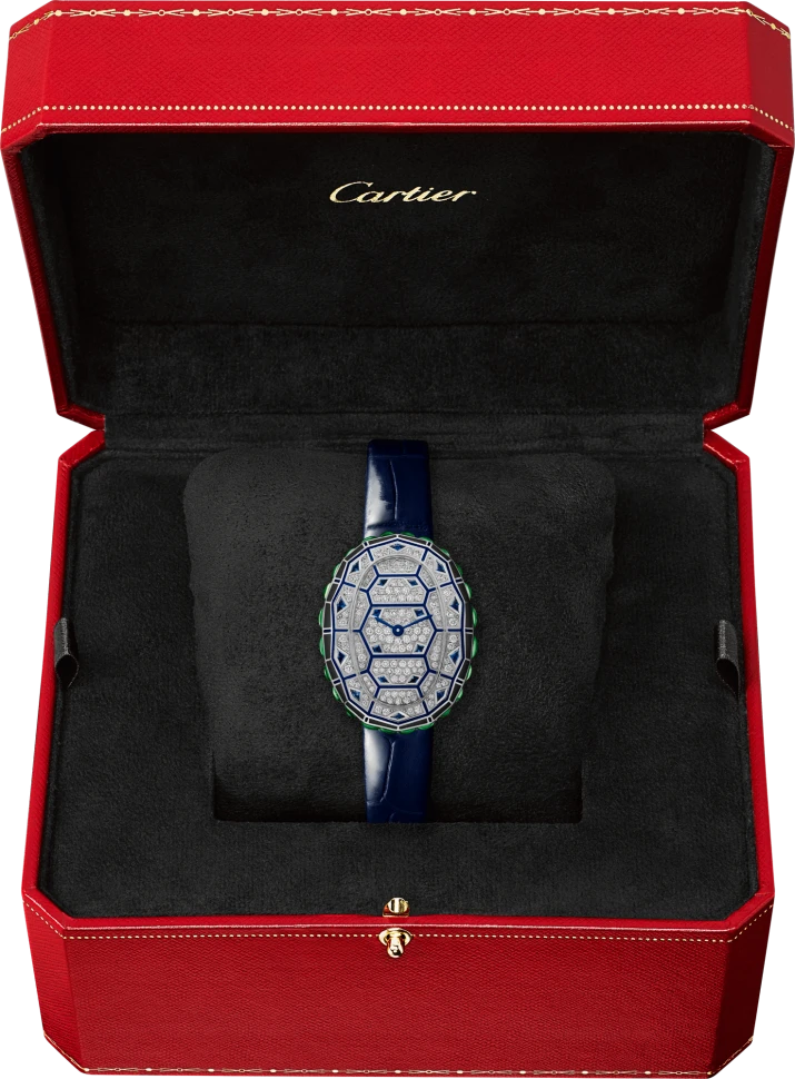 Заказать Cartier  Libre Baignoire  WJLI0021