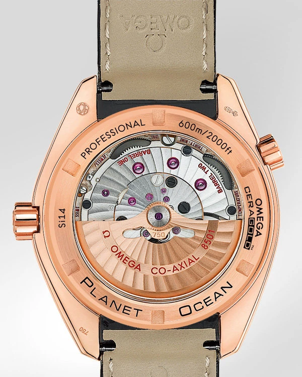 Заказать Omega  Seamaster Planet Ocean 600 M Co-Axial 42 Mm  232.63.42.21.01.001