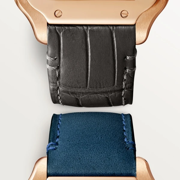 Заказать Cartier  Santos  WGSA0028