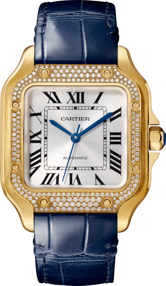 Заказать Cartier  Santos De Watch  WJSA0013