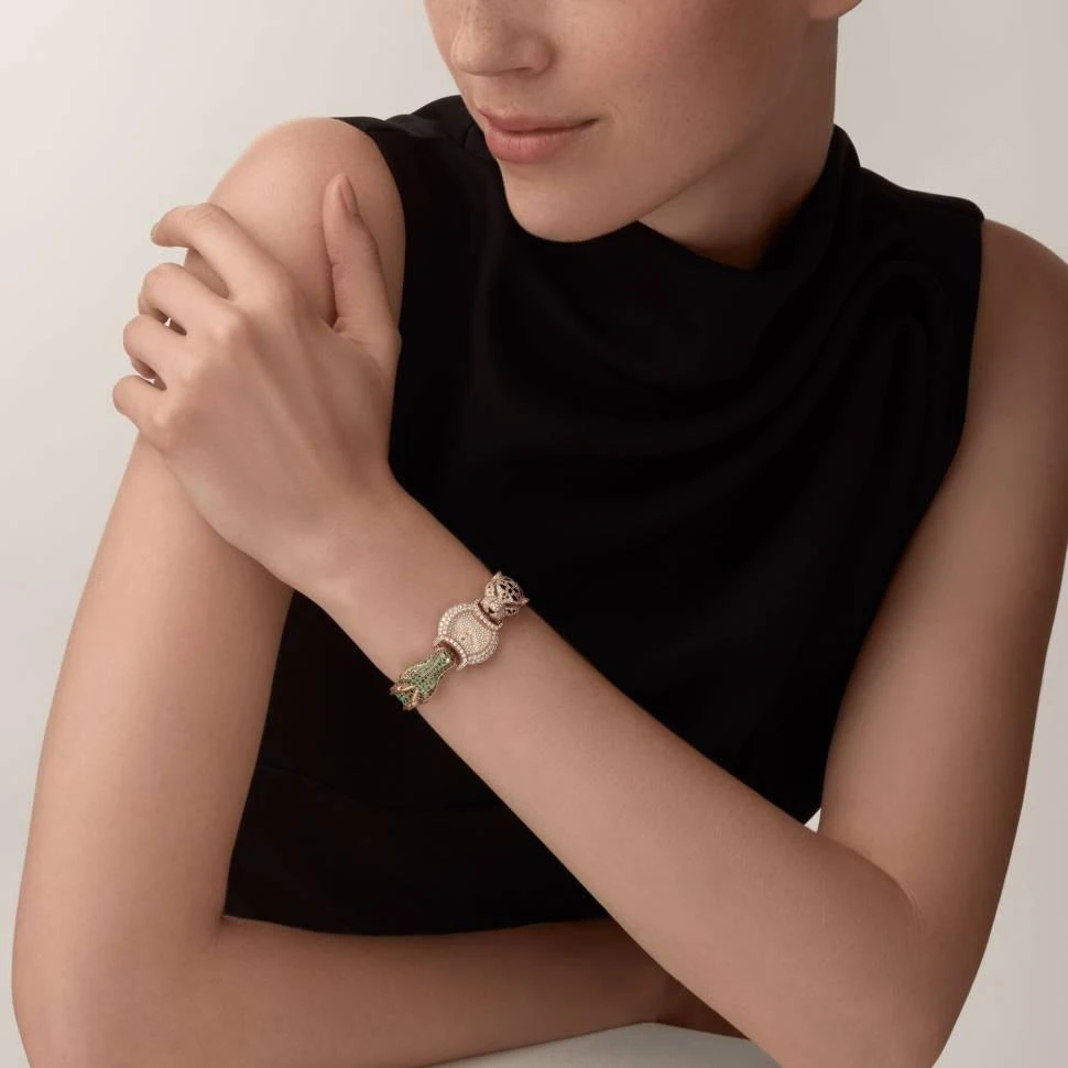 Заказать Cartier  Panthere Jewelery Watches Indomptables De  HPI01451