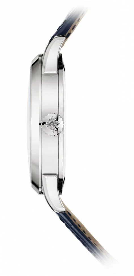 Заказать Patek Philippe  Complications  5231G-001