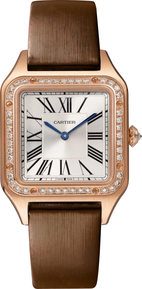Заказать Cartier  Santos-Dumont Watch  WJSA0019