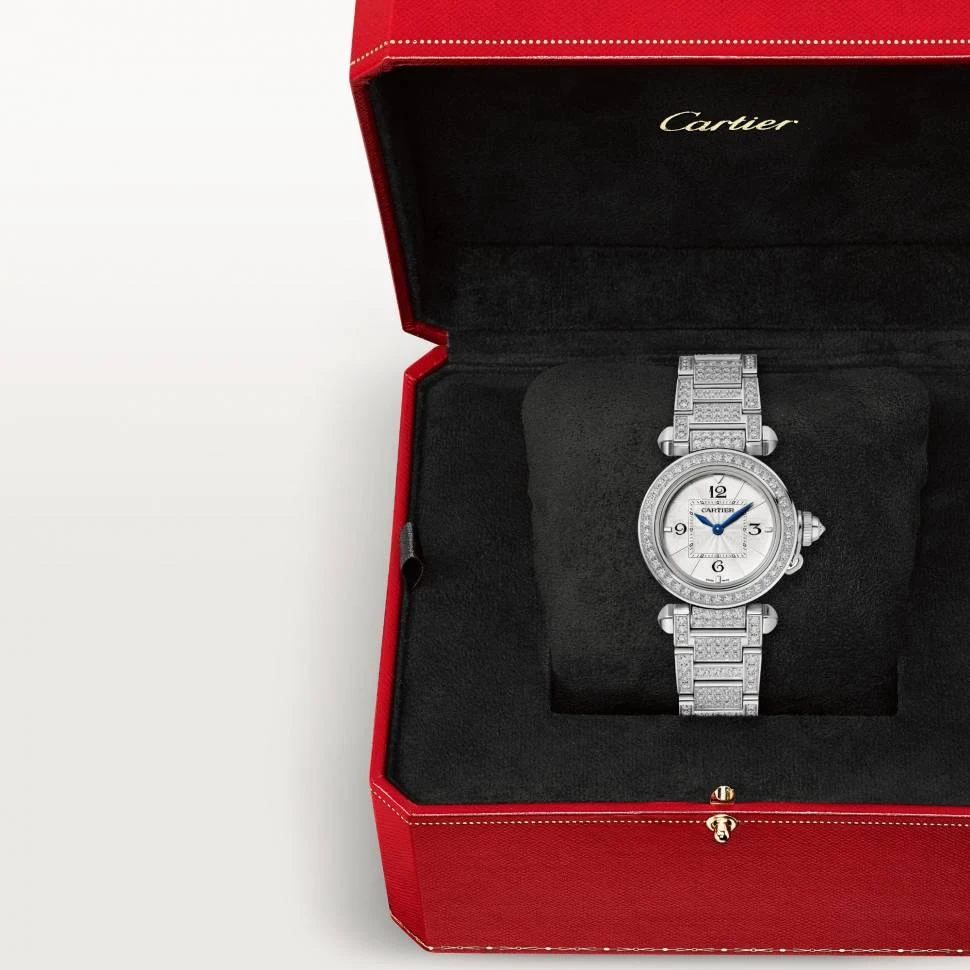 Заказать Cartier  Pasha De Watch  WJPA0019
