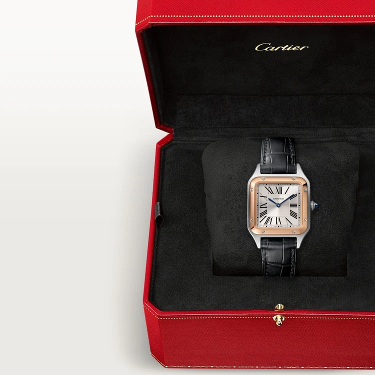 Заказать Cartier  Santos-Dumont  W2SA0012