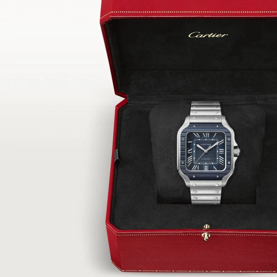 Заказать Cartier  Santos De  WSSA0048