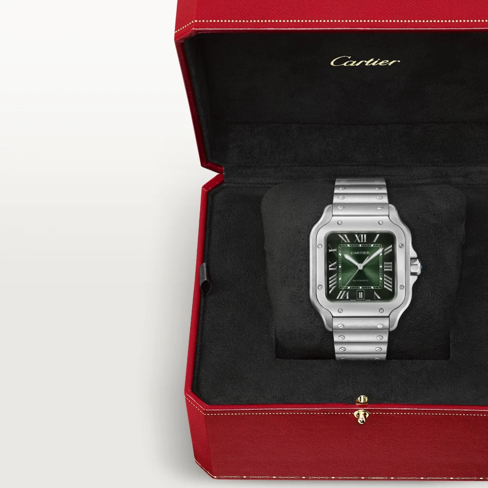 Заказать Cartier  Santos De Watch  WSSA0062