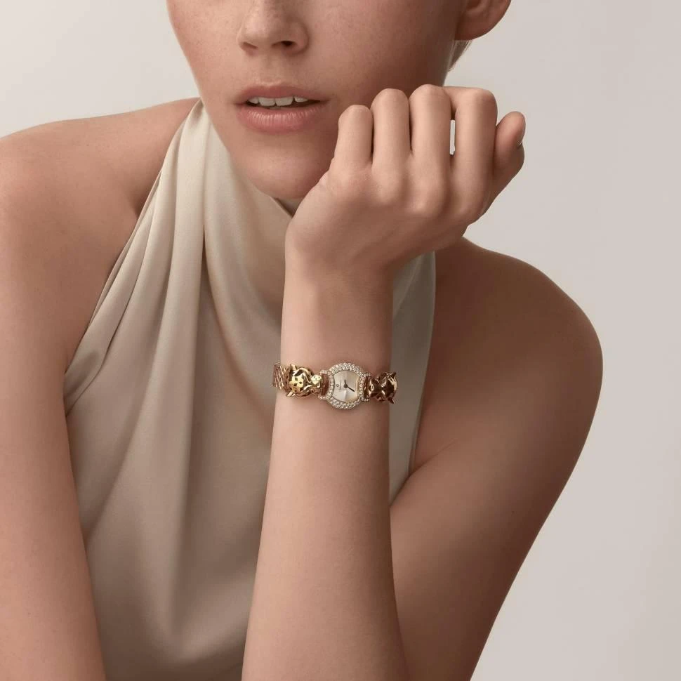 Заказать Cartier  La Panthere De Watch  HPI01441