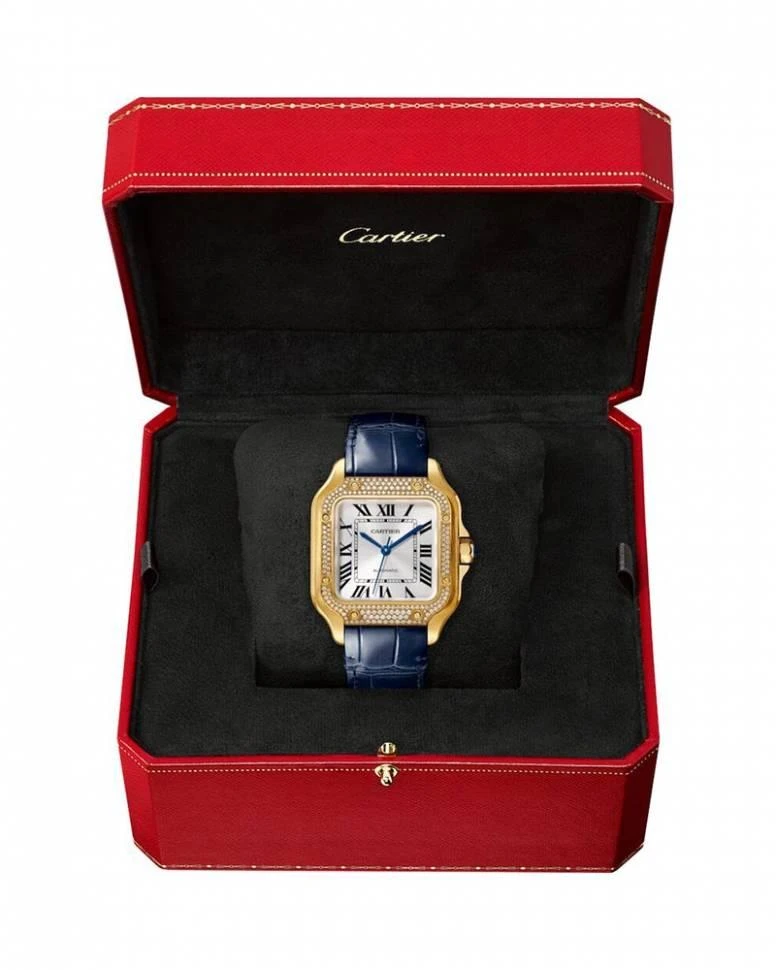 Заказать Cartier  Santos De Watch  WJSA0013