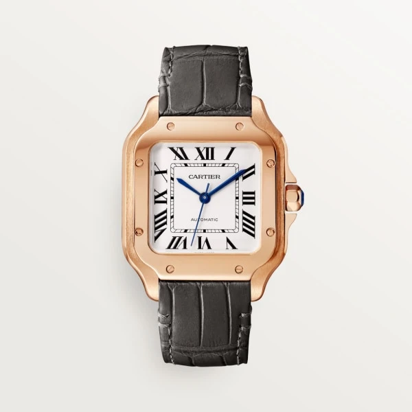 Заказать Cartier  Santos  WGSA0028