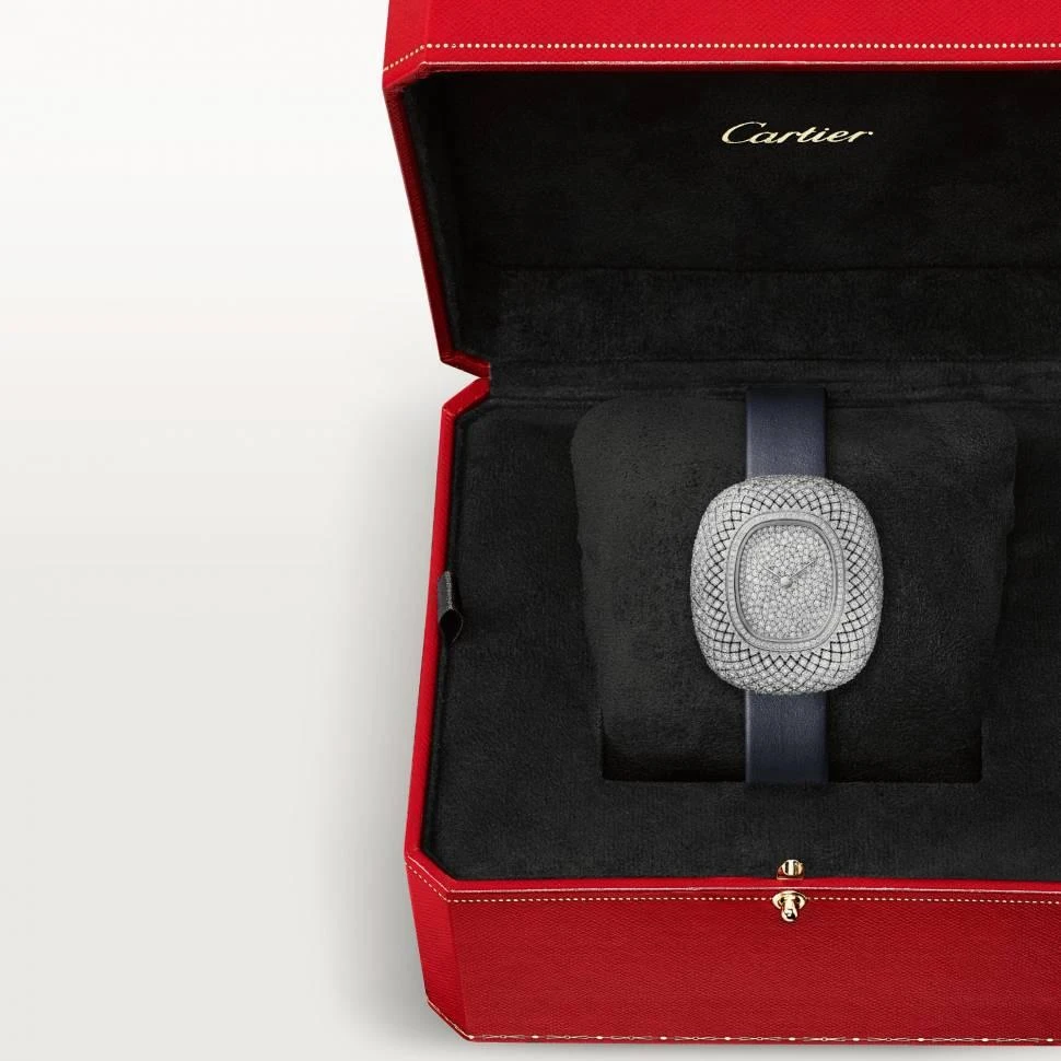 Заказать Cartier  Coussin De  WJCS0011