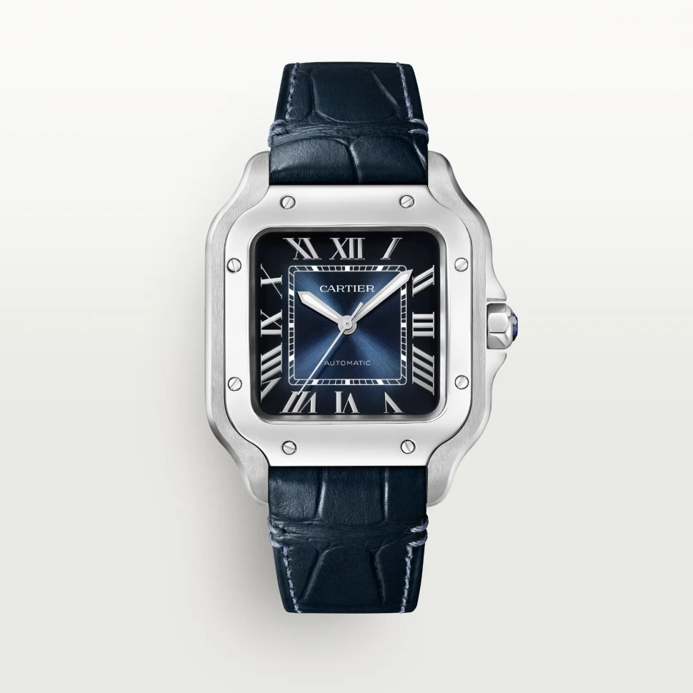 Часы Cartier  De Santos Medium Blue  WSSA0063