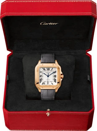 Заказать Cartier  Santos De  WGSA0019
