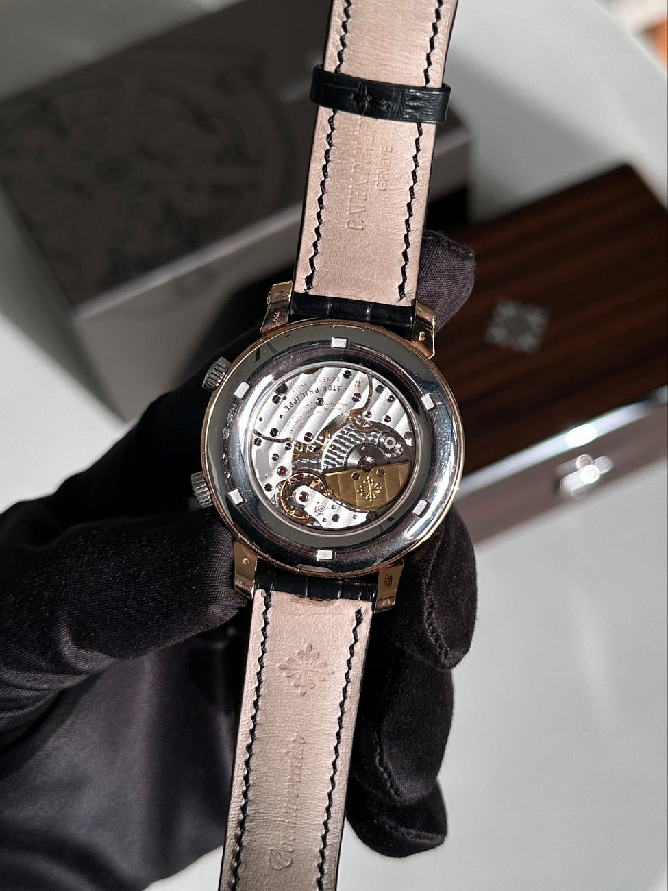 Часы Patek Philippe  Sky Moon Celestial Grand Complication  5102PR-001