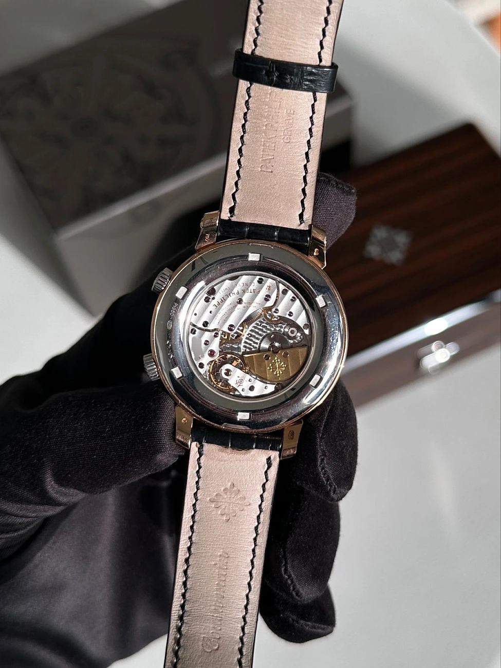 Часы Patek Philippe  Sky Moon Celestial Grand Complication  5102PR-001