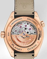 Заказать Omega  Seamaster Planet Ocean 600 M Co-Axial 45.5 Mm  232.63.46.21.01.001