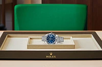 Заказать Rolex  Datejust 41  M126334-0032