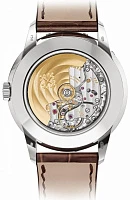Заказать Patek Philippe  Grand Complications  5320G-011