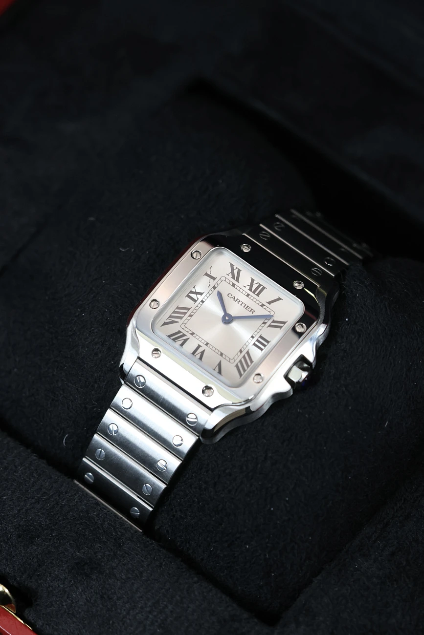 Часы Cartier  Santos De Cartier Small Model Silver Dial  WSSA0082