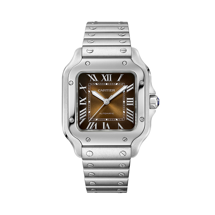 Часы Cartier  Santos De Cartier Brown Dial Medium  WSSA0065