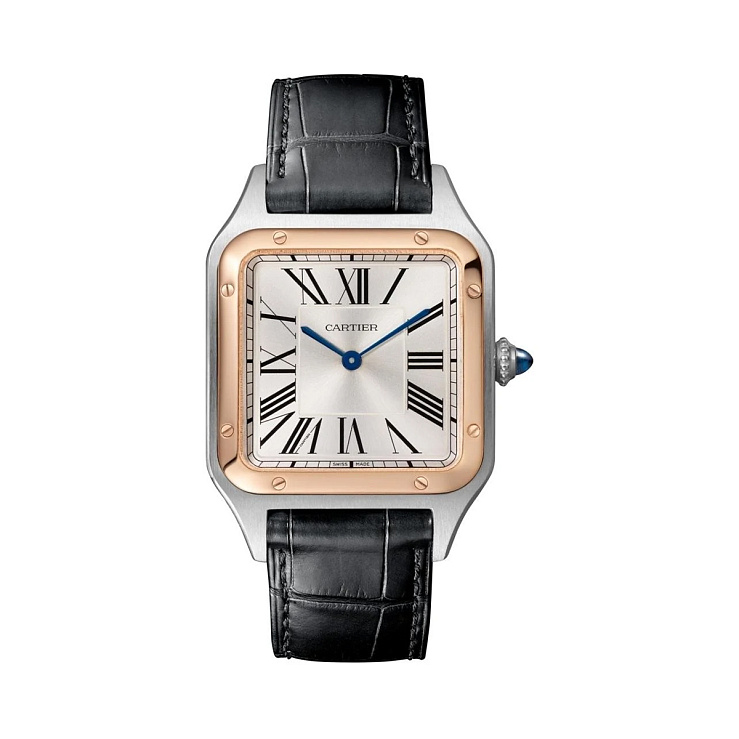 Часы Cartier  Santos De Cartier Santos-Dumont Steel Gold  W2SA0011