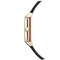 Заказать Jaeger-LeCoultre  Reverso  Q3842520