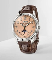 Заказать Patek Philippe  Grand Complications  5320G-011