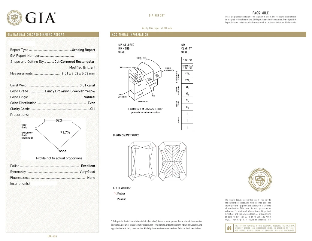 Украшение GIA  Серьги с бриллиантами 3,01/3,02 ct. FBGY/VS1-Si1   