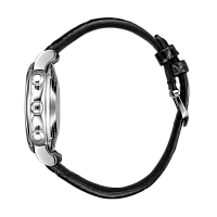 Заказать Iwc  Portofino Chronograph 39  IW391406