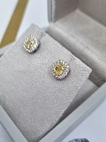 Украшение GIA  Серьги 1,00/1,02 Ct. W To X   