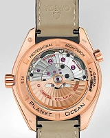 Заказать Omega  Seamaster Planet Ocean 600 M Co-Axial 42 Mm  232.63.42.21.01.001