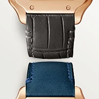 Заказать Cartier  Santos  WGSA0028