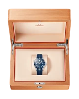Заказать Omega  Seamaster  210.32.42.20.03.001