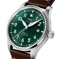 Заказать Iwc  Pilots Watch Mark Xx  IW328205