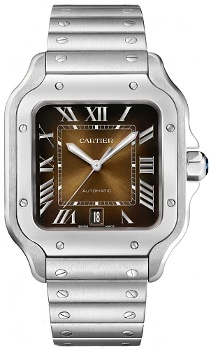 Часы Cartier  Santos De Cartier Brown Dial  WSSA0064