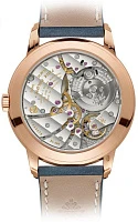 Заказать Patek Philippe  Complications  5224R-001