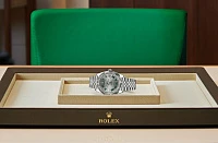 Заказать Rolex  Datejust 41  M126334-0022