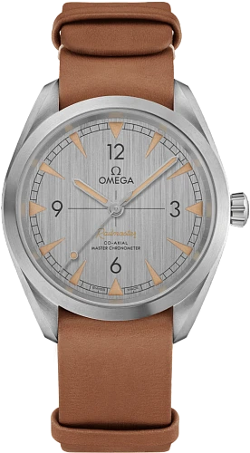 Заказать Omega  Seamaster Railmaster Co-Axial Master Chronometer 40 Mm  220.12.40.20.06.001