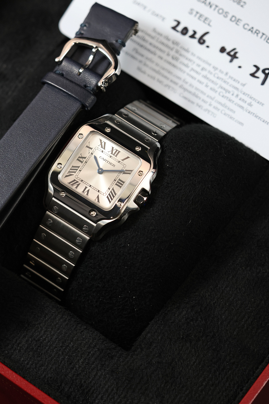 Часы Cartier  Santos De Cartier Small Model Silver Dial  WSSA0082