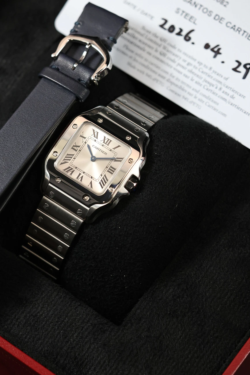 Часы Cartier  Santos De Cartier Small Model Silver Dial  WSSA0082