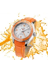 Заказать Omega  Seamaster Planet Ocean 600 M Co-Axial Gmt 43.5 Mm  232.93.44.22.99.001