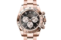 Заказать Rolex  Cosmograph Daytona  M126505-0001