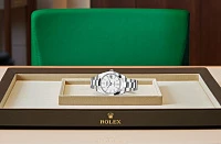 Заказать Rolex  Datejust 41  M126300-0005