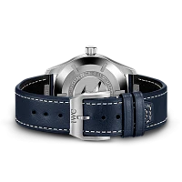Заказать Iwc  Pilots Watch Mark Xx  IW328203