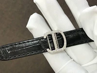 Заказать Cartier  Panthere De Watch  HPI01014