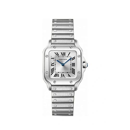 Часы Cartier  Santos De Cartier Small Model Silver Dial  WSSA0082