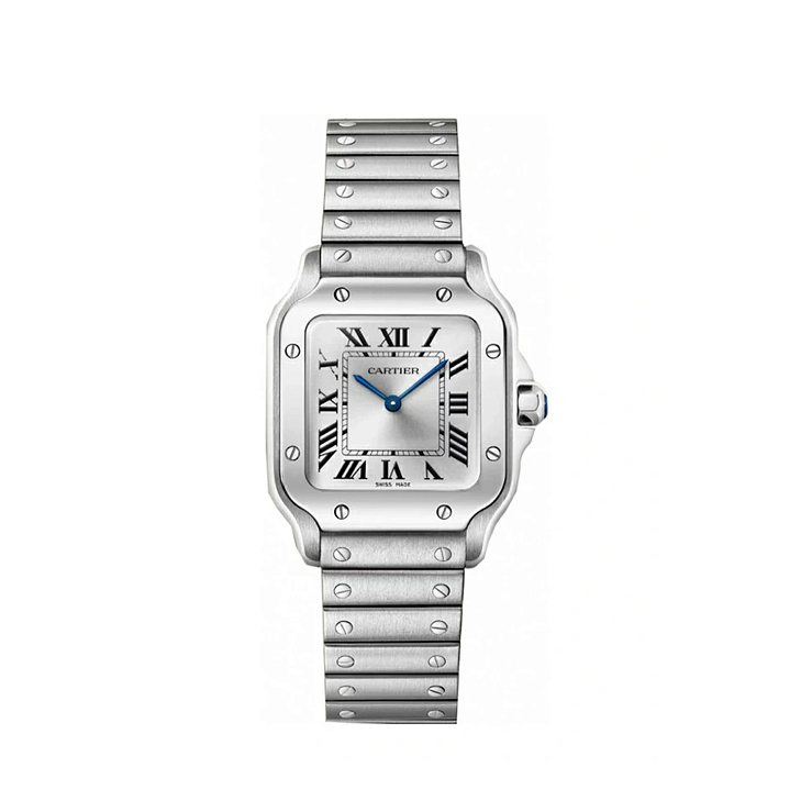 Часы Cartier  Santos De Cartier Small Model Silver Dial  WSSA0082