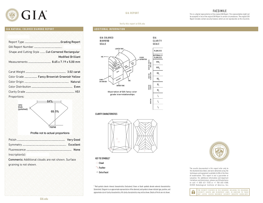Украшение GIA  Серьги с бриллиантами 3,01/3,02 ct. FBGY/VS1-Si1   