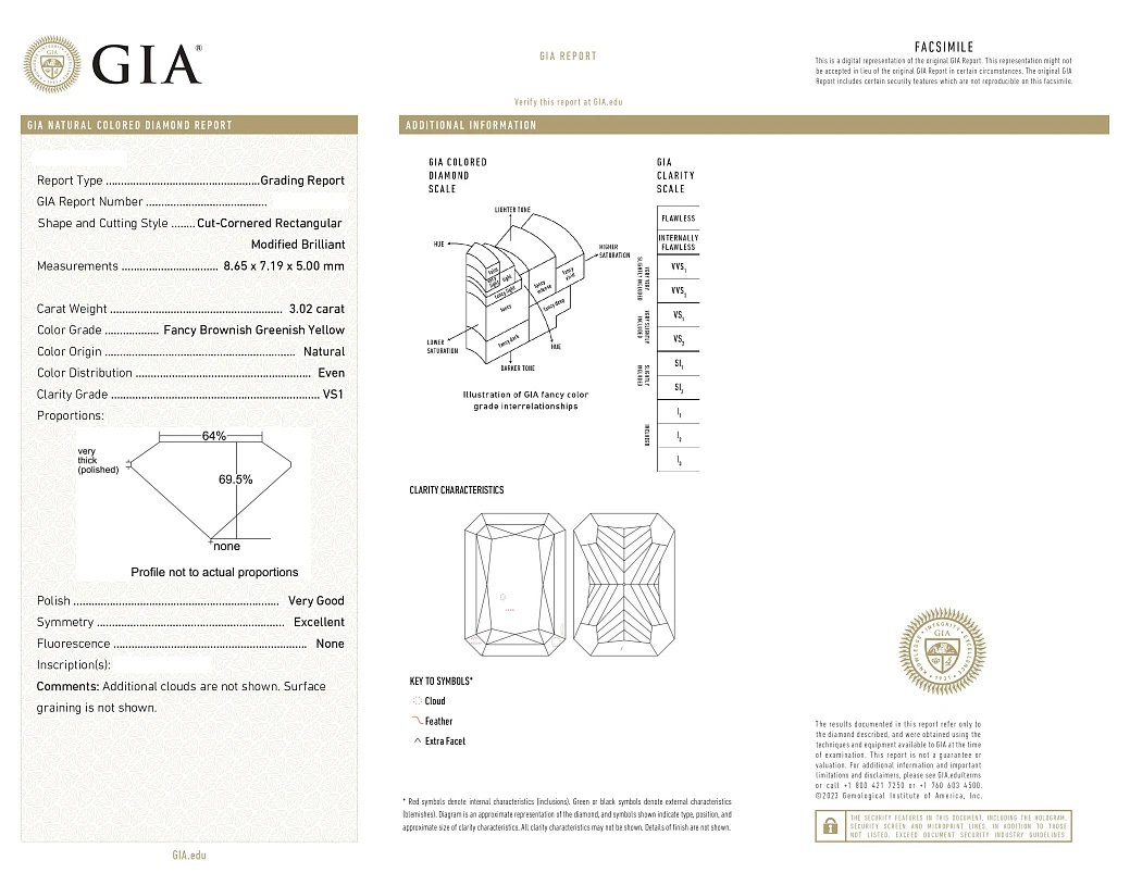 Украшение GIA  Серьги с бриллиантами 3,01/3,02 ct. FBGY/VS1-Si1   